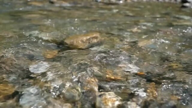 Clear river water flowing smoothly over rocks and pebbles in a shallow stream with natural sunlight reflecting on the surface
