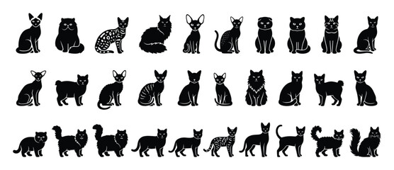Fototapeta premium Set of various cat silhouettes. Different feline breeds, pet icons, animal symbols collection. Black glyphs for veterinary, pet shop, mascot branding. Diverse cat species group.