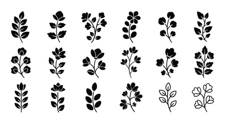 Fototapeta premium Adobe Illustrator Artwork