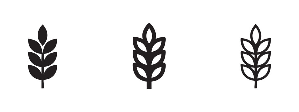 Wheat ear or grain icon set in solid, outline, and thick line styles, representing agriculture, food, and harvest.