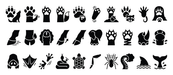 Fototapeta premium Set of animal tracks icons. Paw print, wolf, fox, bear, raccoon, tiger, dog, cat. Hoof, deer, cow, horse, pig, rhinoceros, elephant. Snake, turtle, spider, octopus, shark, whale tail, bat, duck,