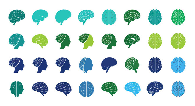 Brain Anatomy Icons: Diverse Representations of Human Cerebrum