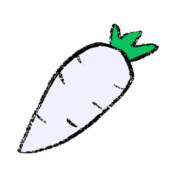White radish crayon wax doodle, rough textured hand drawn, daikon mooli turnip, fresh root vegetable crop, healthy organic agriculture cooking graphic icon