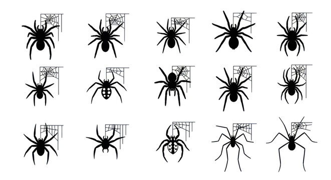 Spider Web Silhouettes Collection: Halloween Icons, Spooky Insects, Arachnid Art