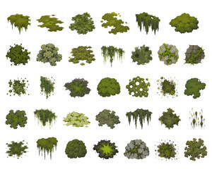Fototapeta premium 28 Moss and Lichen Splatter Icons Set