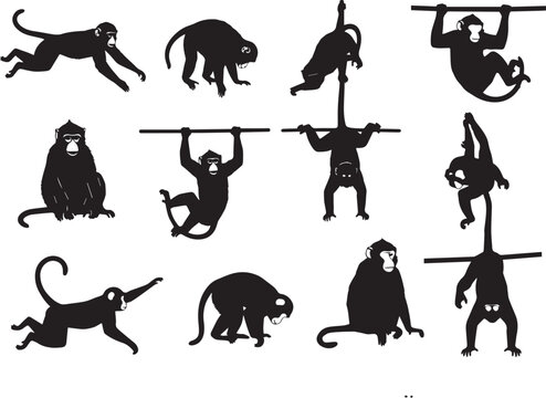 Monkeys in various acrobatic poses and playful movements in black silhouette