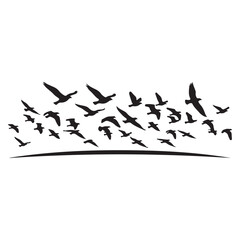 Flock of birds flying in silhouette over curved horizon line vector graphic for nature and migration themes © Zulfa