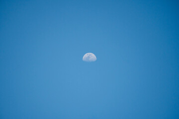 Obraz premium The Moon is visible during the day against a clear blue sky. The Moon is often visible during the day because it is bright enough to overcome the scattered sunlight.