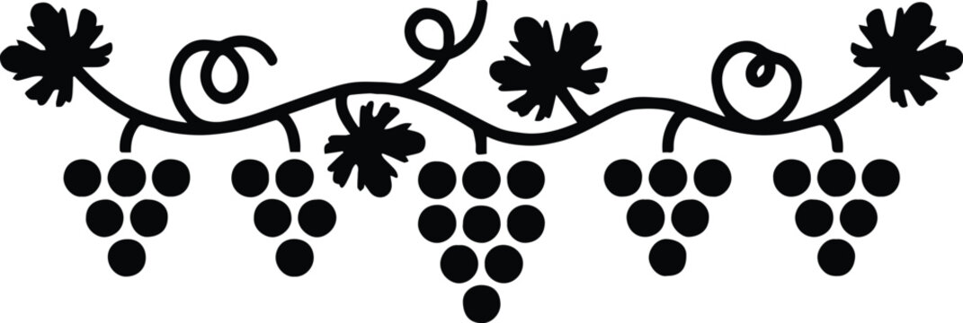 grapes illustration with leaves and vine in black and white featuring fruit, cluster, harvest with wine and vineyard