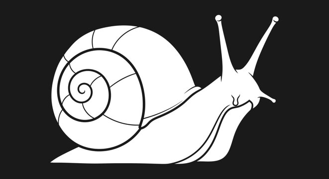 Simple Outline Drawing of a Snail on Black Background
