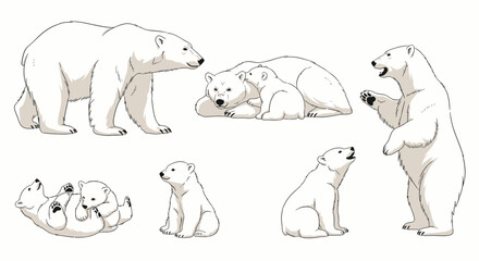 Polar Bear Family Set: Adults and Cubs in Various Poses on White Background © rara