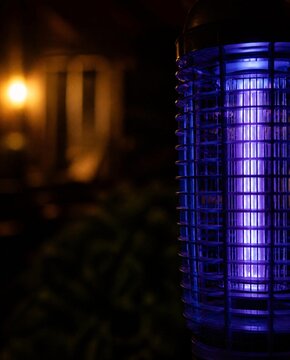 Electric bug zapper with its violet UV glow, summer night porch