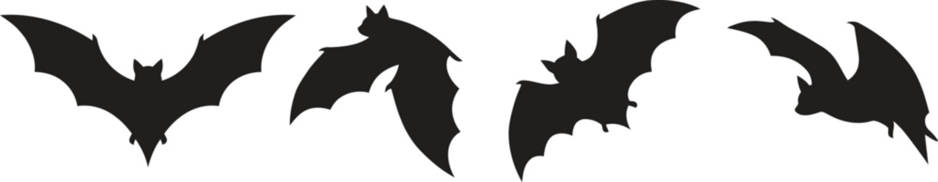 Four black bat silhouettes in different flying positions on white