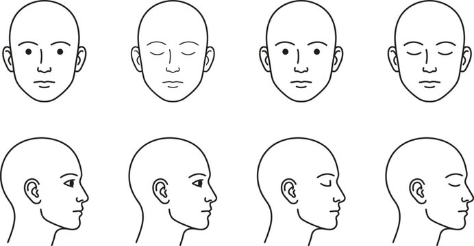 Human head shapes in different views, simple line drawing