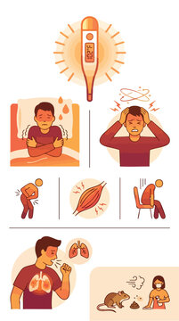 Hantavirus symptoms vector illustration showing fever, headache, and kidney damage with a rodent vector