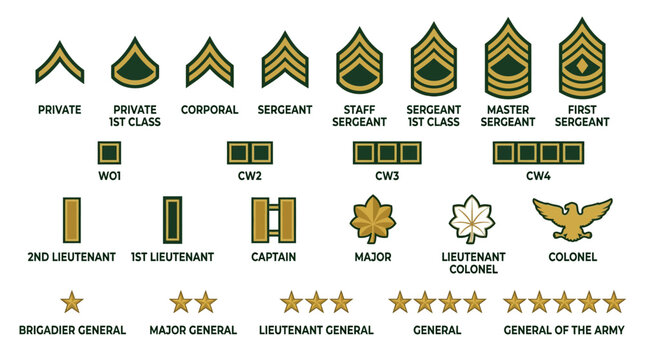Military Rank Insignia Chart
