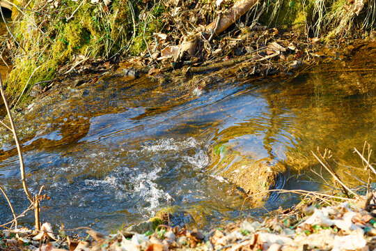 Nat&uuml;rliche Szenerie: Flusslandschaft