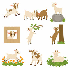 Fototapeta premium Set of nine flat vector illustrations featuring cute baby goats in various poses: jumping, headbutting, eating leaves, climbing trees, running through flowers, and resting in clover.