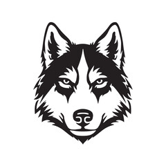 Husky dog head vector illustration, black and white siberian husky mascot logo, stylized canine face icon for sports branding and apparel design © jutt