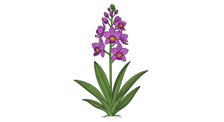 Obraz premium Illustration of a purple orchid with green leaves and flower blossom