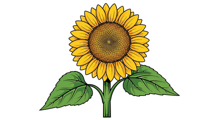 A bright yellow sunflower stands tall with green leaves. © Konco