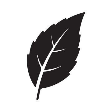 Tea leaf icon silhouette vector isolated illustration design
