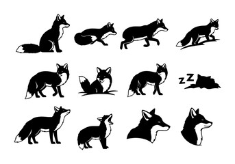 Obraz premium 12 Black Fox Silhouettes, Vector Icons Set: Wild Animal Poses, Woodland Creatures, Nature Graphics for Design