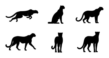 Black Panther Silhouettes Set, Big Cat Poses Collection, Wild Animal Vector Graphics, Elegant Feline Icons for Wildlife Design © Sadia