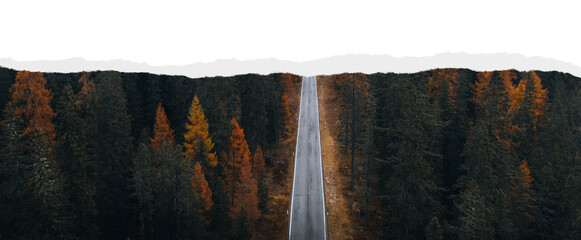 Naklejka na ściany i meble Forest road png ripped paper border, transparent background