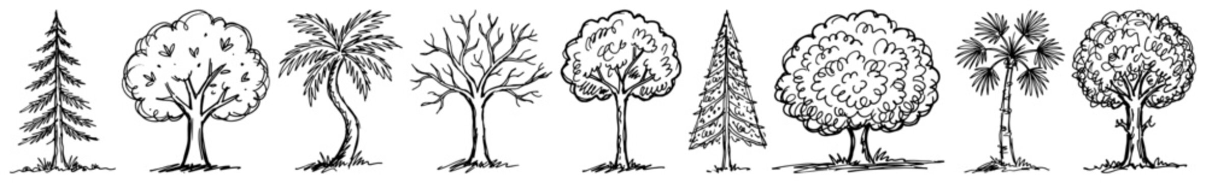 Different types of trees set including palm pine and leafless varieties in hand drawn sketch style