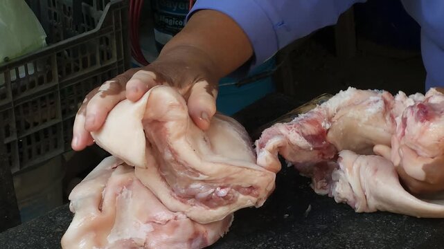 Housefly Landing On Thawed Pork Meat Separated By Hand With Vitiligo