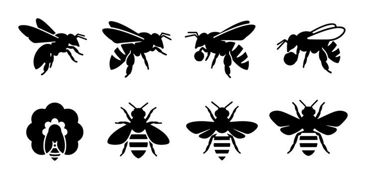 Bee Icons Set, Insect Vector Graphics, Flying and Stationary Bees, Honeycomb Element, Black and White Silhouettes for Nature and Agriculture Themes