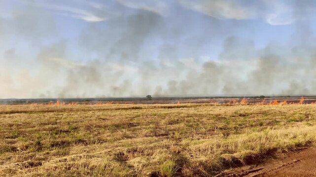 Incendio en campo agr&iacute;cola de pastos