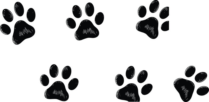 Hand‑drawn black paw print illustrations in sketch style for pet artwork, wildlife design, and decorative projects
