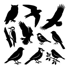 Fototapeta premium Collection of Bird Silhouettes in Various Poses and Species