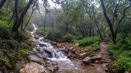 Fototapeta premium Lush forest waterfall cascading over rocky terrain with a winding trail through green trees and mist