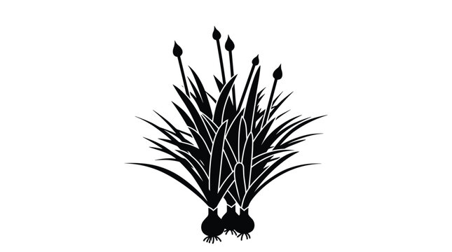Chives plant silhouette collection with blooming bulbs and thin leaves on transparent background for graphics.