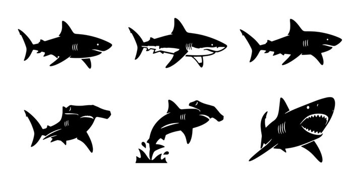 Shark Silhouettes Collection, Marine Predator Vector Icons, Ocean Wildlife Graphics, Aquatic Danger Symbols