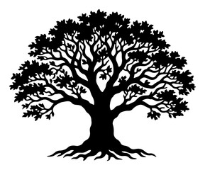 Fototapeta premium Large oak tree with deep roots and spreading branches silhouette illustration