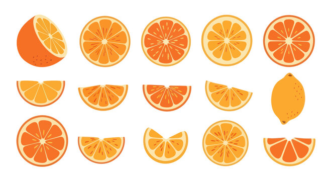 Fresh Citrus Fruits Collection: Oranges and Lemon Slices, Healthy Food