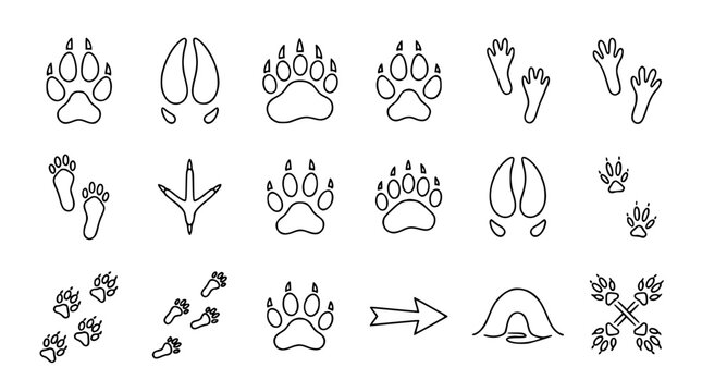 Animal Track Line Icons - Paw Print and Wildlife Trail Symbols