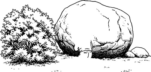 Black and white of a large rock beside a bush white background, stone boulder shrub © Milon