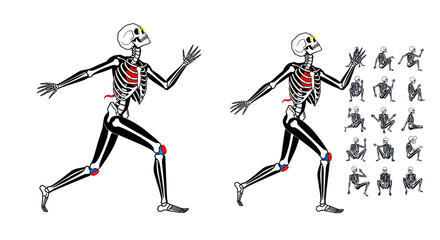Fototapeta premium Running Skeleton Anatomy Set, Human Body Poses, Medical Illustration