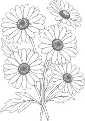 Obraz premium Delicate line bouquet of daisies with detailed petals and leaves