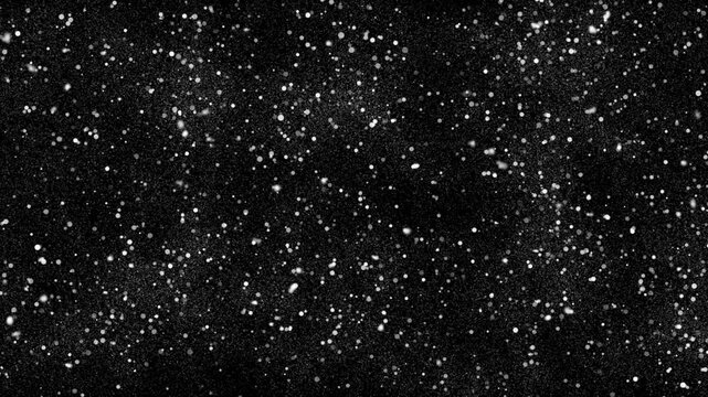 Animated White Bubble Particles Rising on Black Background Loop