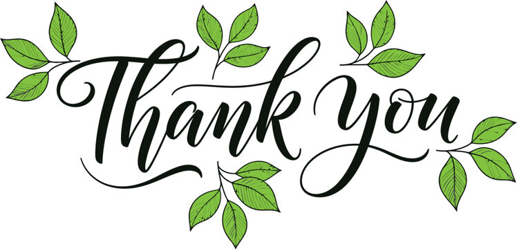 Elegant thank you message with green leaves illustration