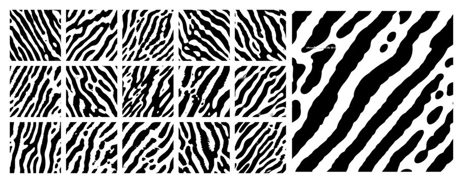 Zebra stripe seamless patterns set with abstract animal print textures