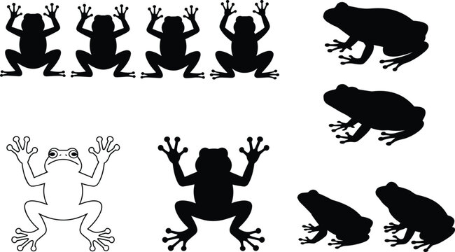 Frog silhouette collection featuring amphibian wildlife poses, tropical tree frog icons, and nature animal vector illustration set