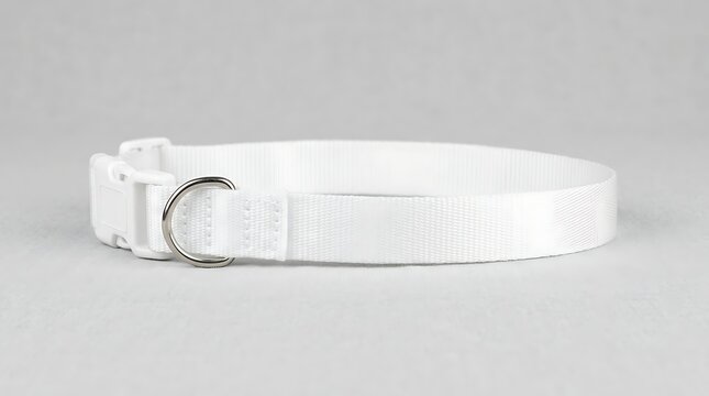 Isolated white nylon dog collar with metal d-ring and plastic buckle for pet grooming and training accessories