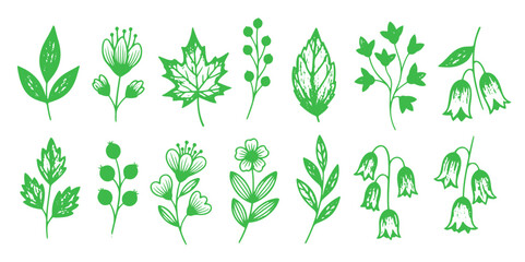 Set of hand drawn floral elements, leaves, branches, flowers and berries isolated on white background © Hand Made Doodle